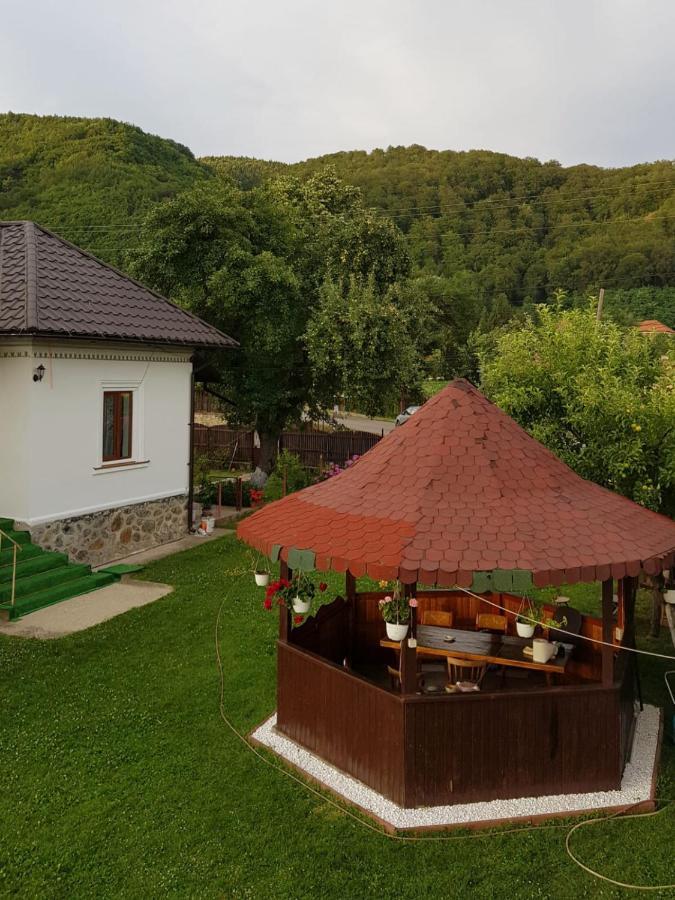 La Bunicu Villa Polovragi Ngoại thất bức ảnh